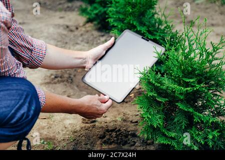 Des femmes tiennent un Tablet pc numérique dans son jardin. Arbres de croissance utilisant le concept de technologie moderne. Banque D'Images