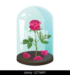 Rose dans le flacon. Illustration vectorielle. Illustration de Vecteur