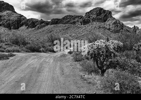 Vue sur le désert de Sonoran près de Phoenix, Arizona. Banque D'Images