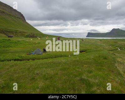 Islande, fjords de l'ouest Hornstrandir, 29 juin 2018: Camping Hornvik avec vue sur les magnifiques falaises de Hornbjarg dans une réserve naturelle reculée avec prairie verte Banque D'Images