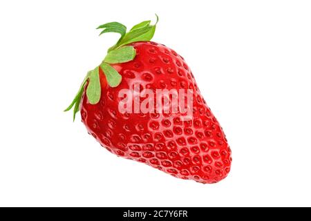 Fraise fraîche mûre isolée sur fond blanc. Photo de studio de baies avec passe-cheveux. Fruits entiers. Banque D'Images