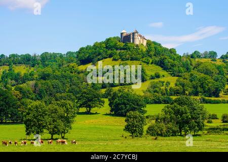 Château médiéval de Belvoir dans le département du Doubs de la région Bourgogne-Franche-Comté en France. Banque D'Images