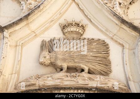 BLOIS, FRANCE - 15 JUILLET 2018 : Château royal de Blois. Détails architecturaux de l'extérieur. Porcupine avec couronne - symbole du roi. Banque D'Images