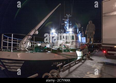 Kinsale, Cork, Irlande. 20 juillet 2020. John O' Donnell Skipper du chalutier Jenny M, déchargeant des boîtes de Hake sur un camion réfrigéré sur la jetée de Kinsale, Co. Cork, Irlande.- Credit; David Creedon / Alay Live News Banque D'Images