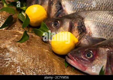 Bass et Brill en vente et marché du poisson en France. Le poisson a des nutriments importants, comme les protéines, la vitamine D, les oméga-3. Concept de régime alimentaire sain. Banque D'Images