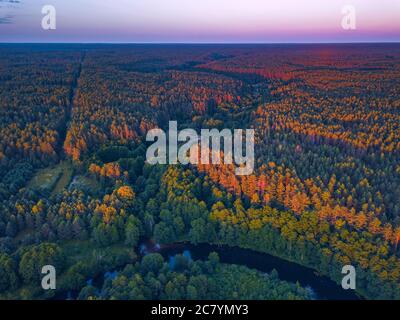 La lumière du soleil chaude d'été avec vue aérienne de la rivière de la forêt Banque D'Images