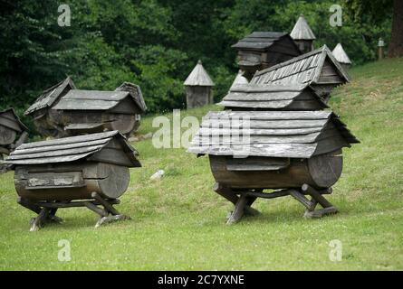 Musée lituanien de l'apiculture ancienne dans le village de Stripeikiai, parc national d'Aukstaitija Banque D'Images