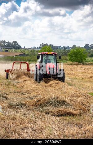 Un agriculteur qui se trouve sur un tracteur tourne le foin pour un meilleur séchage avant le clouage Banque D'Images