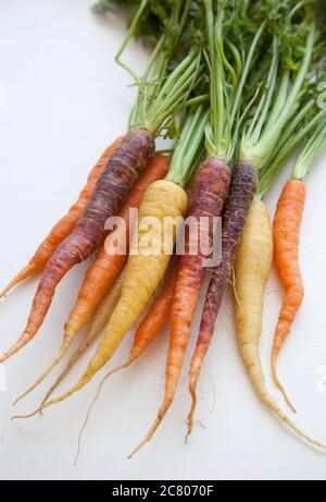Gros plan sur un bouquet de carottes fraîches et anciennes sur un sol blanc Banque D'Images