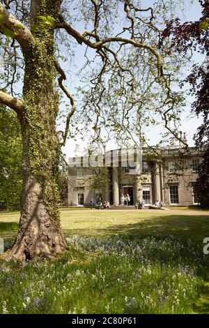 Les visiteurs se sont rassemblés devant la porte d'entrée de la maison de campagne regency Scampston Hall près de Malton, dans le North Yorkshire, avec un platane en premier plan Banque D'Images