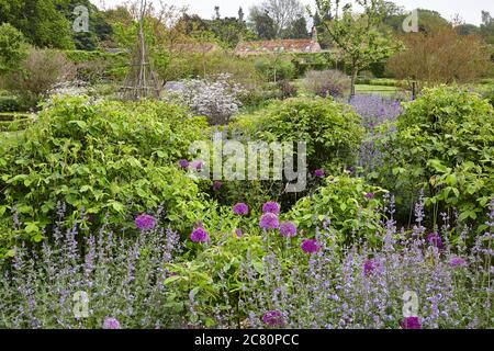 Vue sur le vivace Meadow, Scampston Hall jardin clos conçu par le paysagiste néerlandais Piet Oudolf Banque D'Images