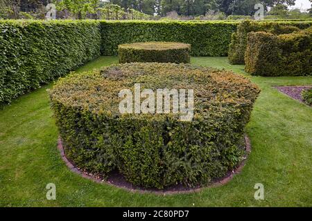 Haies de hêtre, jardin clos de Scampston Hall à Malton, Yorkshire, conçu par le paysagiste néerlandais Piet Oudolf Banque D'Images