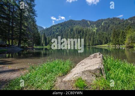 Une belle image grand angle du lac 'Lago dei Caprioli' pendant l'été, Trentin, Italie Banque D'Images