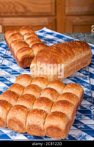 Rouleaux multigrains et le pain sur une grille sur le comptoir couvert par un torchon. Banque D'Images