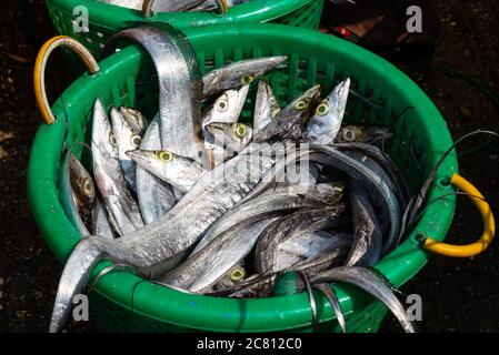 Panier de poissons frais en ruban au marché du poisson à Yangon, Birmanie Banque D'Images