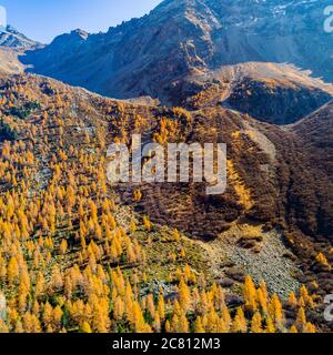 Val di Campo - Engadina (CH) - vue aérienne automnale du refuge Banque D'Images