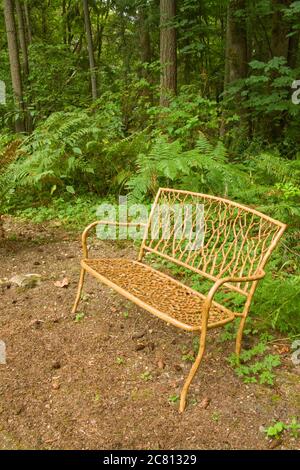 Banc de jardin décoratif entouré de Sword Fern et Bracken Fern dans une cour ombragée à Issaquah, Washington, Etats-Unis Banque D'Images