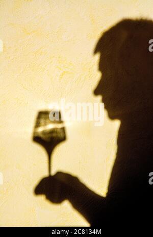 Silhouette d'ombre d'une personne tenant un verre contre un fond clair dans un cadre intérieur confortable Banque D'Images