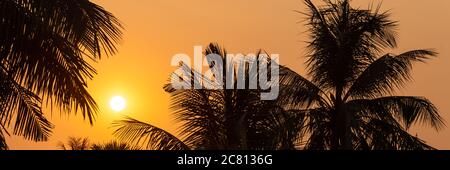 Coucher de soleil tropical avec silhouettes de palmiers, l'été et Voyage panoramique bannière web Banque D'Images