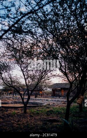 Doho Safari Lodge dans le parc national d'awash, district d'Afar, Éthiopie. Banque D'Images