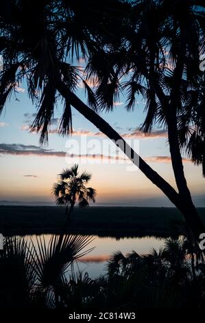 Coucher de soleil sur l'oasis naturelle de source chaude au Doho Safari Lodge dans la région d'Afar en Éthiopie. Banque D'Images