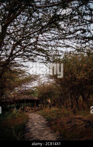 Doho Safari Lodge dans le parc national d'awash, district d'Afar, Éthiopie. Banque D'Images