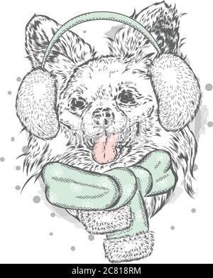 Un chiot mignon avec cache-oreilles et foulard. Illustration vectorielle pour une carte ou une affiche. Imprimer sur des vêtements. Beau chien. Nouvel an et Noël. Hiver. Chaud Illustration de Vecteur