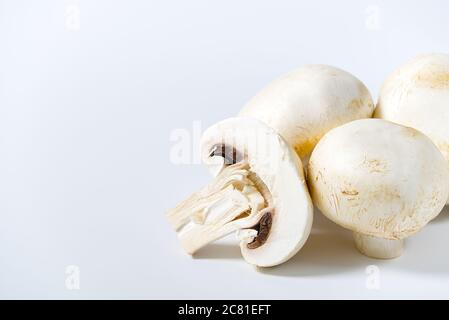 Champignons frais macro pousse. Gros plan sur du champaignon blanc. Banque D'Images