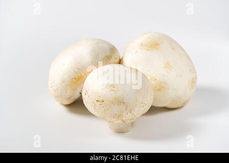 Champignons frais macro pousse. Gros plan de champagnes blancs tranchés. Banque D'Images