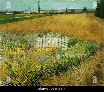 Des œuvres d'art étonnantes du célèbre peintre Vincent van Gogh. Banque D'Images