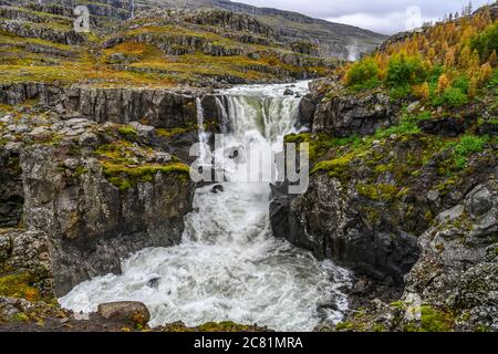 Cascade et rivière qui se précipitent sur un paysage accidenté de l'est de l'Islande; Djupivogur, région de l'est, Islande Banque D'Images