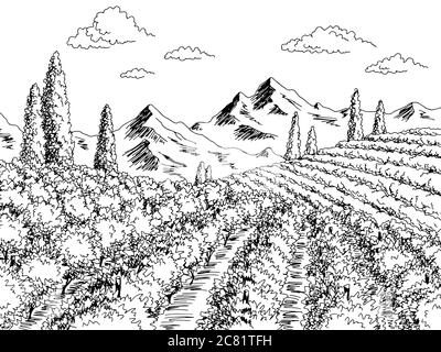 Vigne graphique noir blanc paysage dessin illustration vecteur Illustration de Vecteur