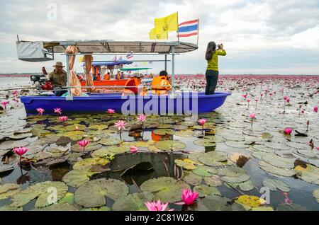 Touristes sur la mer de Lotus Rouge; Thaïlande Banque D'Images