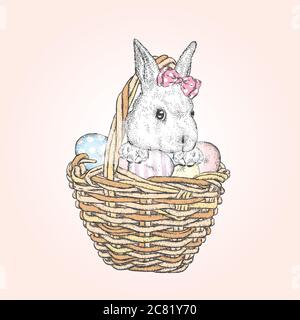 Mignon petit lapin dans un panier avec des œufs de Pâques. Illustration vectorielle. Vacances de printemps. Illustration de Vecteur