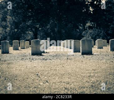 Vue sous angle solennelle des rangées de pierres tombales militaires pour les troupes de l'Union de la guerre civile enterrées près du champ de bataille au cimetière national de Stones River à Murfree Banque D'Images