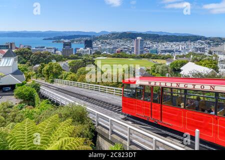 Vue sur la ville et le port de Lambton depuis le terminus de Kelburn, Wellington Cable car, Nouvelle-Zélande Banque D'Images