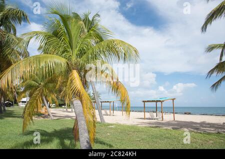 Christiansted, Sainte-Croix, USVI-septembre 23,2019 : Tamarind Reef Resort, plage sur la rue Sainte-Croix, dans les îles Vierges américaines tropicales. Banque D'Images