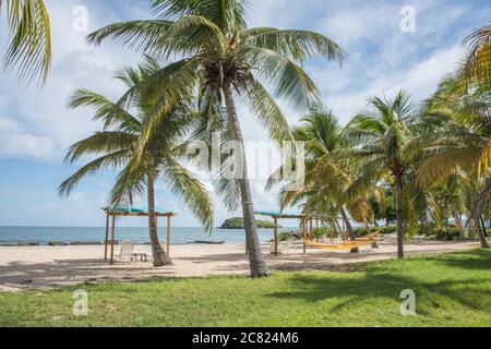 Christiansted, Sainte-Croix, USVI-septembre 23,2019 : scène en front de mer de Tamarind Reef Resort sur Sainte-Croix dans les îles Vierges américaines tropicales. Banque D'Images