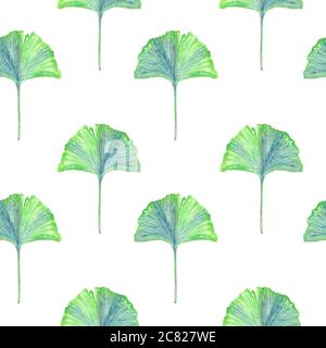 Feuilles de ginkgo vert (Ginkgo biloba ou arbre à poils longs), illustration d'aquarelle peinte à la main, motif sans couture sur fond blanc Banque D'Images