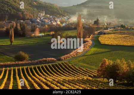 Vignobles et village de Valserres en automne au coucher du soleil. Cave de vinification et vignes dans les Hautes-Alpes, Vallée de l'avance Banque D'Images