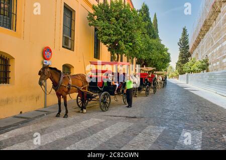 Cordoba, Espagne - 02 septembre 2015 : le chariot à cheval pour les touristes situé dans la région espagnole de l'Andalousie Banque D'Images