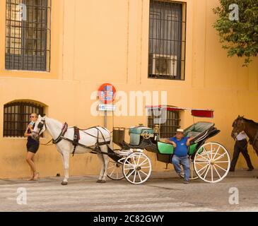 Cordoba, Espagne - 02 septembre 2015 : le chariot à cheval pour les touristes situé dans la région espagnole de l'Andalousie Banque D'Images