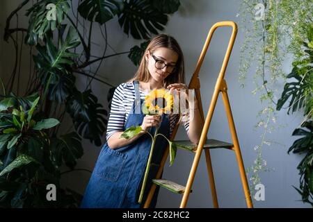 Fleuriste femme entourée de plantes tropicales tenant le tournesol et touche ses pétales, debout près de l'escabeau orange. Banque D'Images