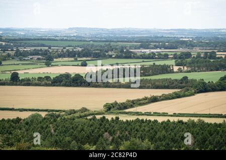 Watlington Hill, la région des collines Chiltern de beauté naturelle exceptionnelle. Oxfordshire, Royaume-Uni Banque D'Images