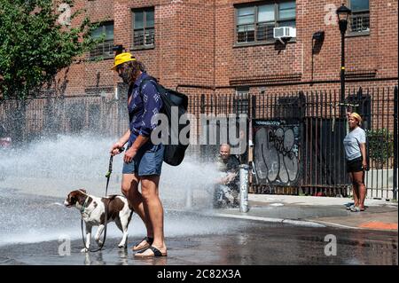 Alors que la ville connaît son jour le plus chaud jusqu'à présent, même les chiens doivent trouver un soulagement de la chaleur après que les résidents 'ont 'ouvert' un incendie dans le Lower East Side à New York City le 20 juillet 2020. (Photo de Gabriele Holtermann/Sipa USA) crédit: SIPA USA/Alay Live News Banque D'Images