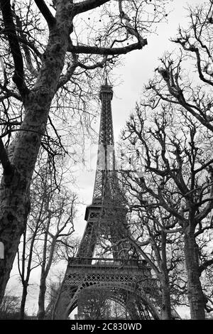 La célèbre Tour Eiffel (noir et blanc), Paris FR Banque D'Images