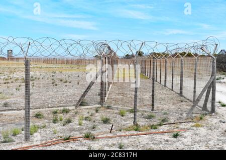 Les clôtures de sécurité de l'ancienne prison de haute sécurité sur l'île Robben. Le fil barbelé ligne le haut de la clôture. Le Cap, Afrique du Sud. Banque D'Images