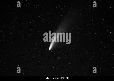 Joshua Tree, États-Unis. 19 juillet 2020. (Note aux éditeurs : cette image a été convertie en noir et blanc.) Comet NEOWISE est vu dans le ciel au-dessus du parc national de Joshua Tree dans le désert de Mojave en Californie le 19 juillet 2020. La comète porte le nom de l'explorateur d'enquêtes infrarouges à champ large de la NASA. (Photo de Ronen Tivony/Sipa USA) *** Veuillez utiliser le crédit du champ de crédit *** crédit: SIPA USA/Alay Live News Banque D'Images