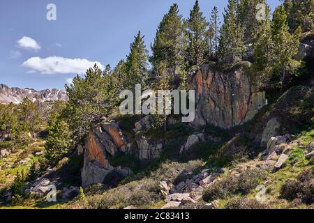 Magnifique paysage de formations rocheuses et d'arbres dans le Pyrénées andorranes Banque D'Images