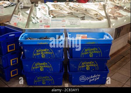 26.09.2019, Sydney, Nouvelle-Galles du Sud, Australie - des boîtes sont visibles devant un comptoir dans un stand à l'intérieur du marché aux poissons de Sydney, à Blackwattle Bay. Banque D'Images